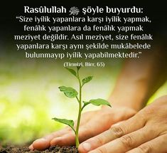 two hands holding a young plant with the words rastuliah and soyle buyrudu