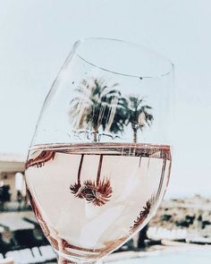 a wine glass filled with water and palm trees