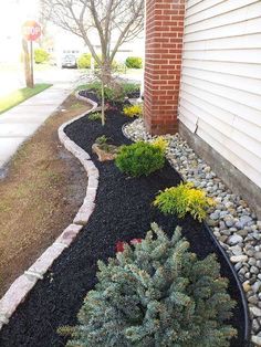 an image of a garden with rocks and plants in the front yard on instagram