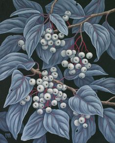 a painting of blue leaves and berries on a black background