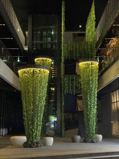 two tall planters with plants growing from them in the middle of an indoor area