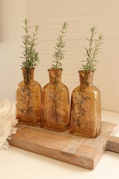 three vases with plants in them sitting on a wooden tray next to a white wall