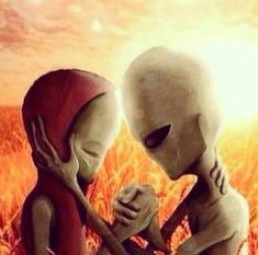 an alien couple sitting in the middle of a wheat field looking into each other's eyes