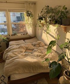 an unmade bed with plants on the window sill and in front of it