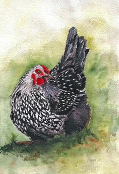 a painting of a chicken sitting on the ground