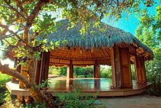 a gazebo in the middle of a forest with trees and grass covering it's roof