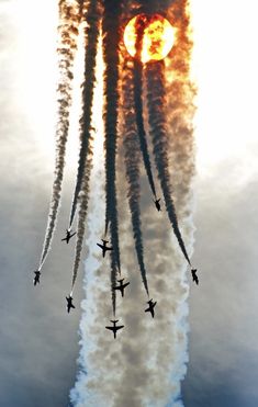 Tomcat F14, Angel Flight, Raf Red Arrows, Jet Fighter Pilot, Airplane Fighter, Air Craft, Red Arrows, Air Fighter, Military Jets