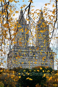 the building is surrounded by trees with yellow leaves on it's branches, and there are many other buildings in the background