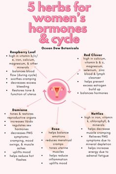 The Moon Cycle, Osteoporosis Prevention, Balance Your Hormones, Moon Cycle