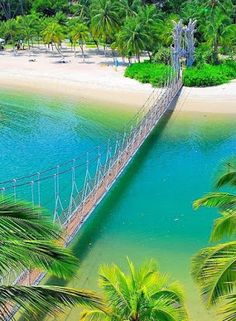 an aerial view of a beach and palm trees with a bridge in the foreground