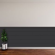 a potted plant sitting on top of a wooden floor next to a white wall