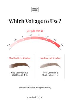 Permanent Brows, Pmu Brows, Mircoblading Eyebrows, Permanent Makeup Studio, Ombre Eyebrows, Skin Anatomy, Types Of Eyebrows