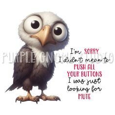 an owl with big eyes is looking at the camera and says i'm sorry didn't meant to push all your buttons