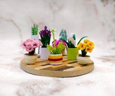 small potted plants are sitting on a cutting board with flowers in them and one plant is growing out of it