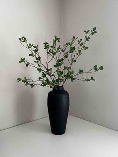 a black vase filled with green leaves on top of a white table next to a wall