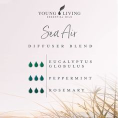 Diffuser Blends Young Living, Air Diffuser, Breathe Out, Essential Oils Herbs