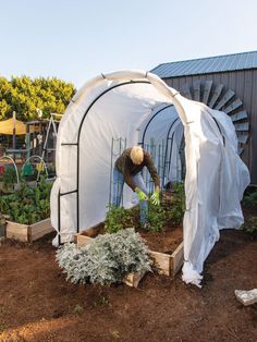 a man is tending to his garden in a greenhouse with white tarp over it