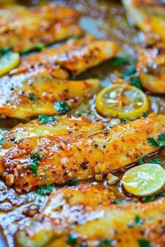 baked fish with lemons and herbs in a pan