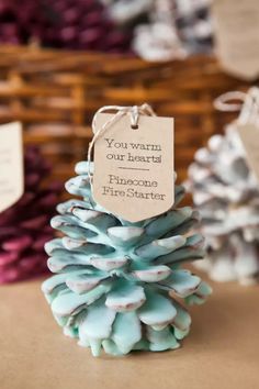 a small pine cone with a tag on it sitting in front of some other items