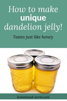 three jars filled with yellow liquid and the words how to make unique dandelion jelly tastes just like honey