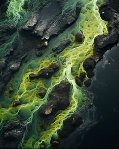 an aerial view of green and black water