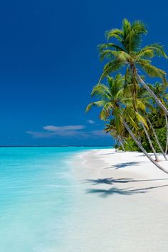 the world's most stunning beaches maldives Honeymoon Aesthetic, Paradise Beaches, Maldives Vacation, Beautiful Beach Pictures, Luxury Honeymoon, Beach Honeymoon