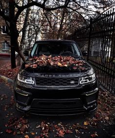 a range rover parked in front of a fence with autumn leaves on it's hood