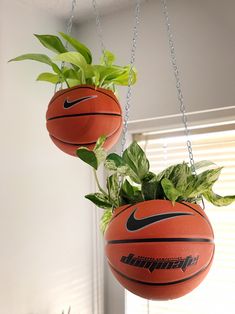 two basketballs hanging from chains with plants in them