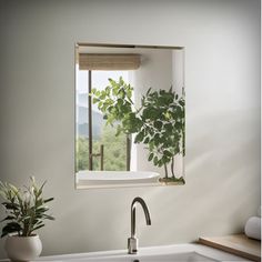 a kitchen sink with a potted plant in the window