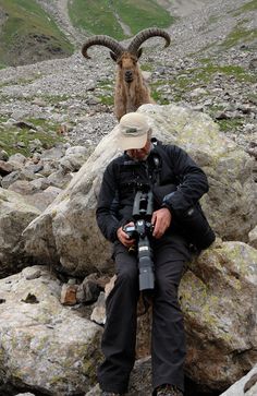 a man sitting on top of a rock next to a mountain goat with long horns