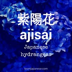 Caste Heaven, Summer Vocabulary, Japanese Summer, Summer Words