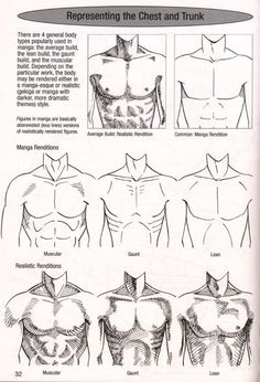 the back and chest muscles are shown in this manual for students to learn how to draw