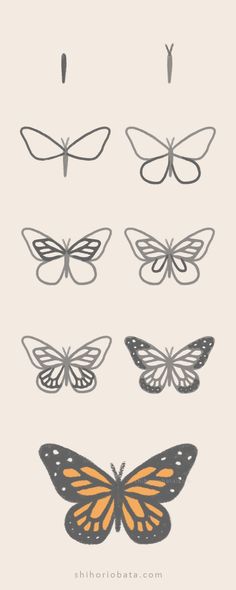 the different types of butterflies are shown in this drawing technique, which is easy to draw and