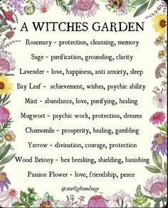 Crystals Spirituality, Witches Art, Gothic Love, Witchy Garden, Pagan Magic, Spiritual Nature, Witchy Goth, Witch Herbs