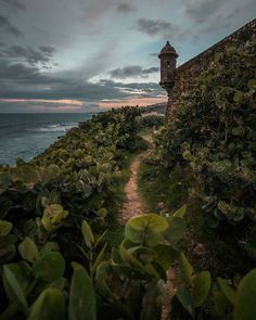 a path leading up to the ocean with a clock tower in the distance at dusk