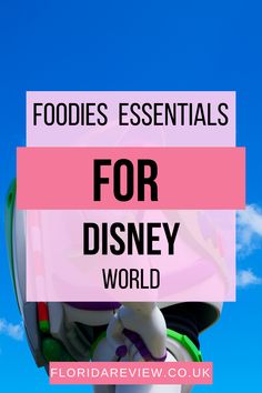 the words foodies essentials for disney world are in front of a blue sky