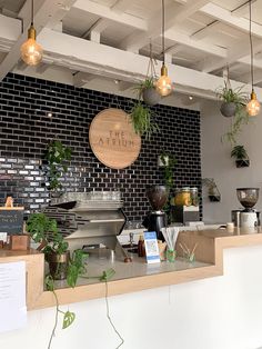 the interior of a coffee shop with plants hanging from the ceiling and on the counter