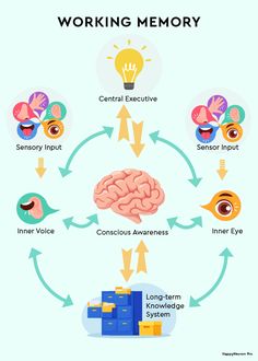 7 Working Memory Activities for Adults & Kids| Online & PDF Memory Worksheets For Adults, Memory Activities For Adults, Working Memory Worksheets, Memory Worksheets, Meta Cognition, Worksheets For Adults