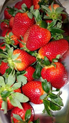 a bowl filled with lots of ripe strawberries