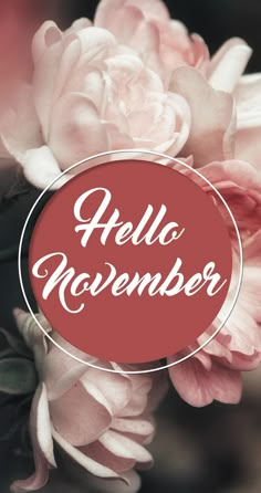 the words hello november are written in white and red on top of pink flowers with green leaves