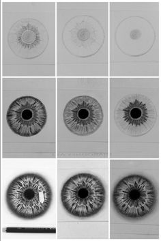 several different types of eyeballs are shown in black and white, each with an individual's iris