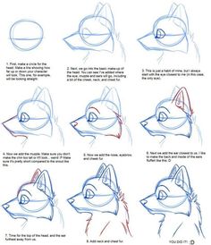 step by step instructions for how to draw a wolf's head in 3 easy steps