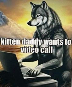 a wolf sitting on top of a laptop computer with the caption kitten daddy wants to video call