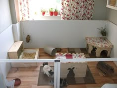 a dog house with two dogs inside and one on the floor in front of it