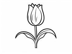 illustration of Delicate tulip drawing Sketching Flowers, Tulip Drawing, Mandala Turtle, Tulip Colors, Cool Coloring Pages, Flower Coloring Pages, Fantasy Fairy, Free Kids, Coloring Pages For Kids