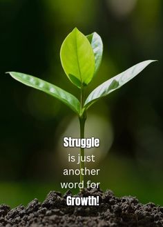 a green plant growing out of dirt with the words struggle is just another word for growth