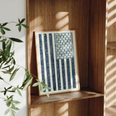 an american flag is displayed on a shelf in a room with wooden shelves and plants