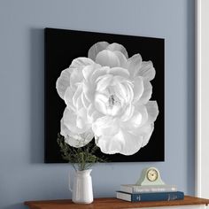 a white flower on a black and white background in a living room with blue walls