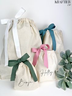 three bags with bows on them sitting next to a plant and succulents