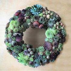 Anna Succulent Sempervivum Wreath. Wholesale Succulents, Succulent Boutonniere, Succulent Bouquet Wedding, Flower Power Hippie, Living Wreath, Succulents For Sale, Succulent Wedding Favors, Cottage Wreath, Metal Wreath Frame